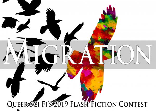 Migration QSF